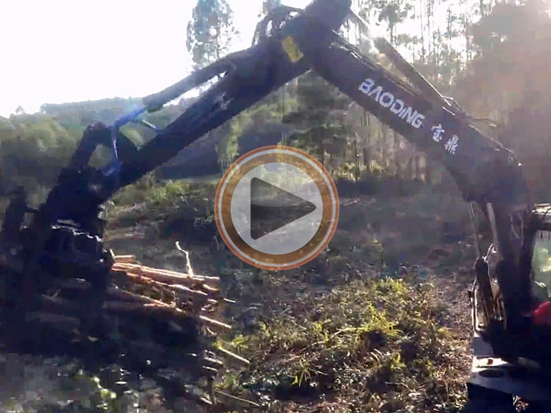 尊龙凯时BD120W轮式抓木机工作视频
